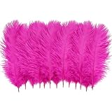 50 plumas naturales de avestruz de 6 a 8 pulgadas, plumas de ciruela para manualidades, centros de mesa de boda, fiesta, decoración del hogar (rosa intenso)