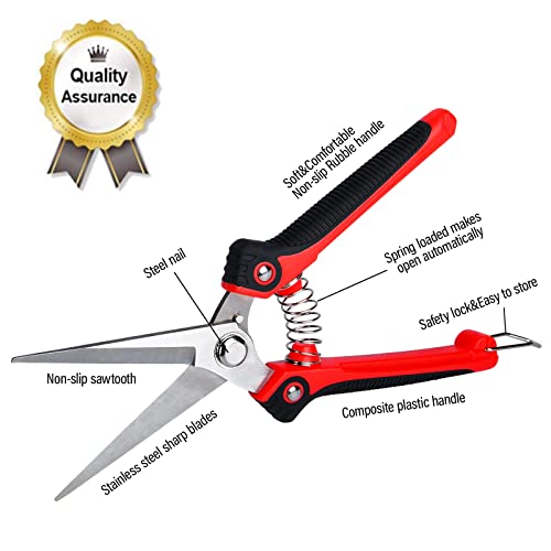 Gardtech Extendable Bypass Lopper, 25-38 Inch Telescopic Tree Trimmer With 2 Pack Garden Pruning Shears, Heavy-Duty Branch Cutter With 2 Inch Cutting Capacity, Black/Red #TOP5