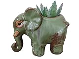 Everyday Better Life Cute Cartoon Animal Elephant Ceramic Succulent Cactus Flower Pot/Plant Pots/Planter/Container for Home Garden Office Desktop Decoration (Green)