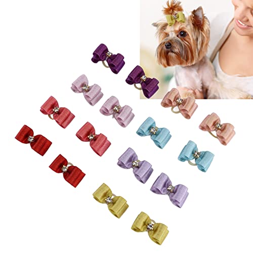 Accesorios, Pet Products Imagen adicional