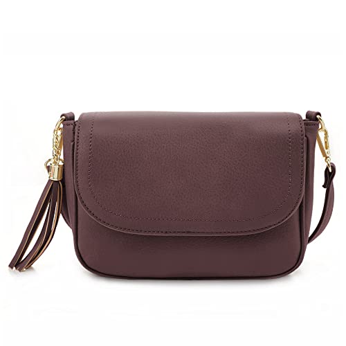 Image of EVVE Small Crossbody Bags for Women Trendy Flap Saddle Purses with Tassel Vegan leather Shoulder bag