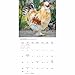 Chicken Calendar 2026