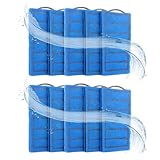 ROSYLEVE 10 Pezzi Filtro Acquario Tartarughe d'Acqua, Filtro Spugna Acquario Piccolo, Spugna Filtro Acquario in Carbone, Migliora la qualità della Vita delle Tartarughe e delle Piante