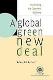 A Global Green New Deal: Rethinking the Economic Recovery