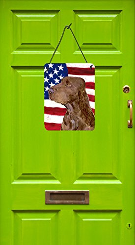 Impression murale Field Spaniel drapeau américain 40x30 cm - 3