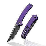 CIVIVI Mini Asticus Folding Pocket Knife for EDC, 3.25' Drop Point Black Stonewashed Blade G10...
