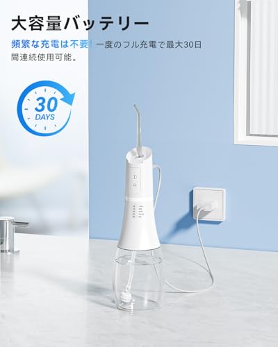 Baanando ジェットウォッシャー WF238 の商品画像 5