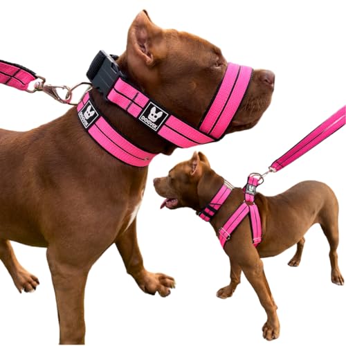 O melhor kit Para Cachorro Coleira Peitoral Focinheira Pet Pitbull Golden Retriever Pastor Alemão Ro