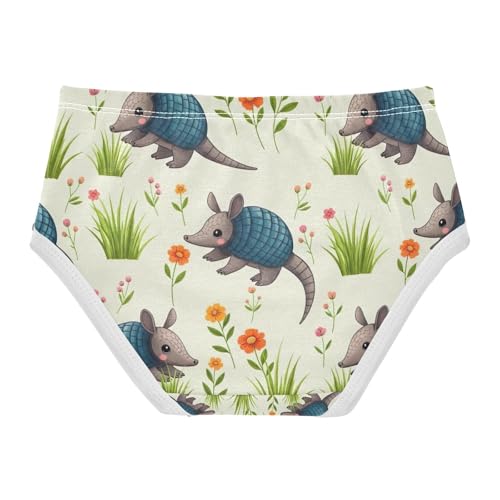 Toddler Briefs, Cute Armadillos Cotton Underwear for Girls, 2–8 Years2