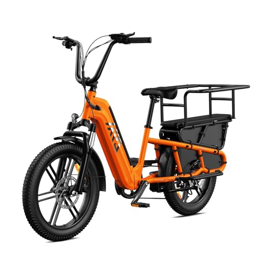 TST Elektrofahrrad für Erwachsene E Bike mit 20' Fat Reifen & Heckgepäckträger, Lasten E Bike 48V 15Ah Akku 250W Motor 60km Maxi Reichweite 204kg Zuladung, App-Steuerung, Federung,Tiefer Einstieg