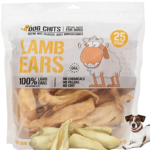 Are Lambs Ear Plants Poisonous To Dogs