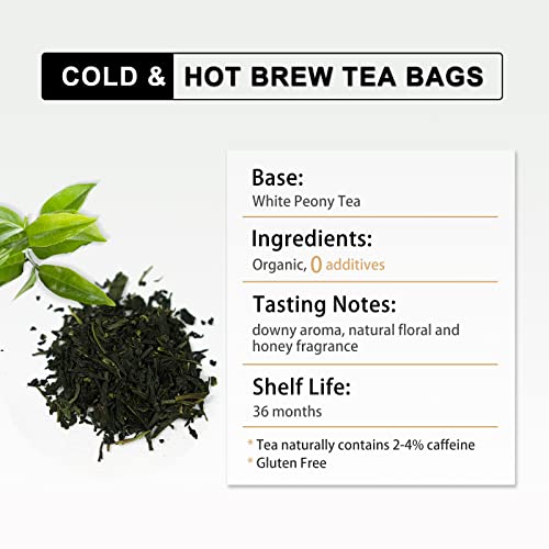 Riantea Organic White Tea Bags Cold & Hot Brew 36 Count, Sugar Free Low Caffeine Ice White Peony Tea, Non-Gmo Natural Premium Tea Leaf, 2.5 Oz (72G) #TOP1