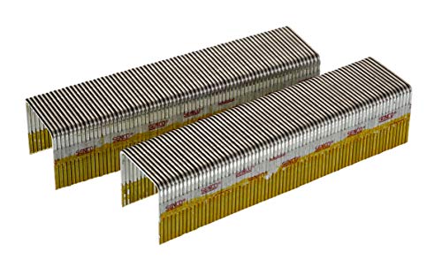 Senco Staples, 16 ga, 1 in. L, PK10000 (P13BAB)