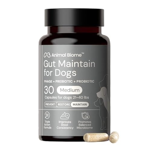Image of Animal Biome Medium Dog Pre & Probiotics, S Boulardii, Gut Maintain, 30 Ct | Triple-Action Dog Probiotics, Prebiotics & Phage S Boulardii Pet Supplements for Gut Health, Diarrhea Support, Food Topper