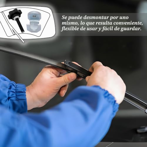 Miniatura 6 de 