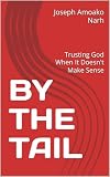 BY THE TAIL: Trusting God When It Doesn't Make Sense (English Edition)
