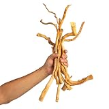 emours bois flotté naturel de 20 à 40 cm pour terrarium photo 4