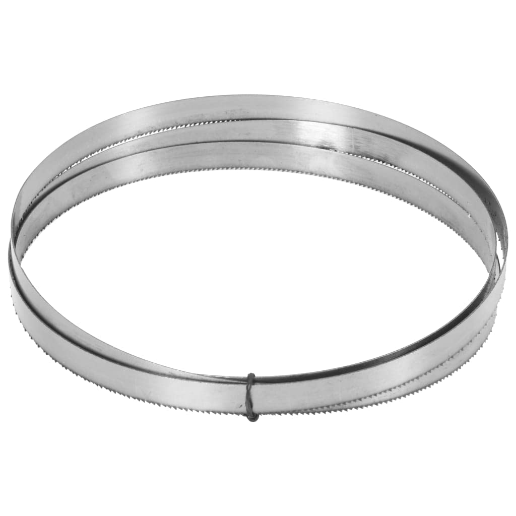 vidaXL Sega a nastro in metallo con base solida 230 V Segatrice verticale per metallo Macchina da taglio per metalli Varie velocità e angolo portatile con ruote