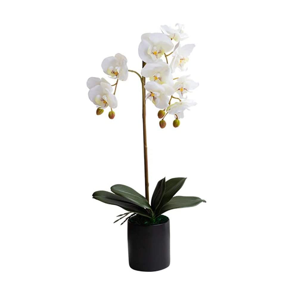 Fleurs artificielles phalaenopsis avec pot en céramique pour maison