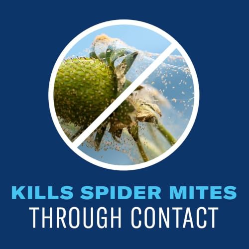 Image of BioAdvanced Organics Brand Tomato, Vegetable & Fruit Insect Control - 24 oz | Ready-to-Use - Kills Listed Insects on Contact - Disease Control - For Edible Gardening