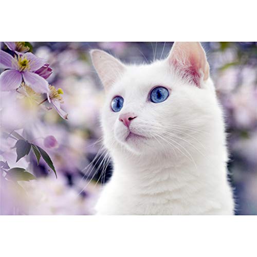 Sunnay Série Animal World-Diamond Painting Strass Complet,Adulte 5D Peinture en Diamant Résine Point de Croix Peinture Kits DIY Needlework Décoration Salon Chambre, Chat 40X30cm