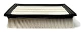 Champ Labs AF7849 Air Filter