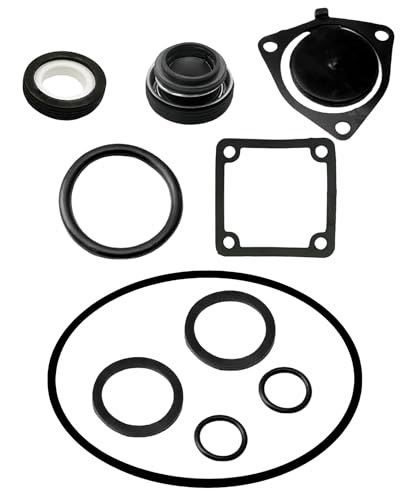 10PCS Pump Gasket O-Ring Seal Kit Fit for Red Lion 2