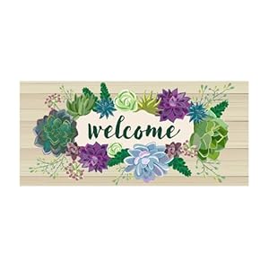  Evergreen-Flag-Succulent-Sassafras-Switch-Mat-Interchangeable-Entrance-Doormat-Indoor-and-Outdoor-22-inches-x-10-inches-Non-Slip-Backing-All-Season-Low-Profile-Home-Decor