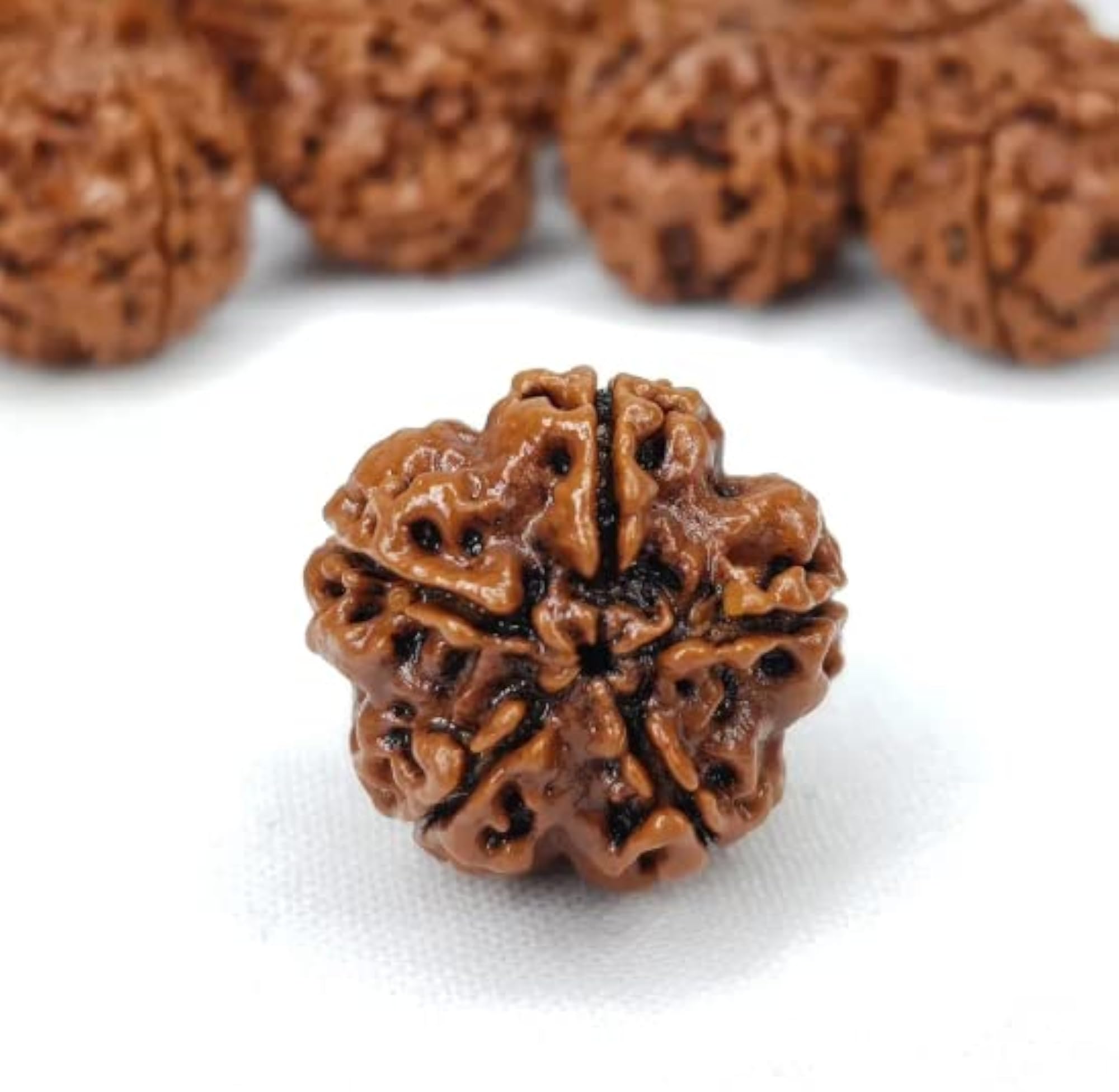 5 Mukhi Rudraksha Round Shape Certified Silver Pendant
