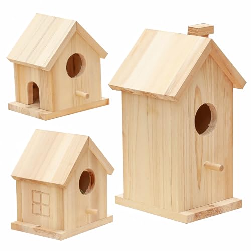 Wooden Bird House Kit,Outdoor Hanging DIY Birdhouse Kit for Kids Woodcraft,Bird Houses for Outside.