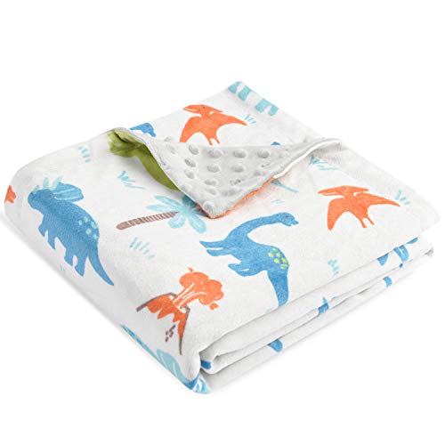Image of HOMRITAR Baby Blanket for Kids Super Soft Minky Blanket with Dotted Backing, Dinosaurs Multicolor Printed for Toddlers Nursery 30 x 40 inch (75 x 100 cm)