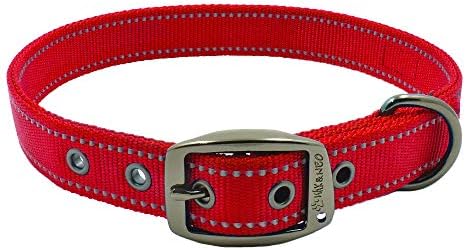 Max and Neo MAX Reflective Metal Buckle Dog Collar - We Donate a Collar to a Dog Rescue for Every Collar Sold (Medium, RED)