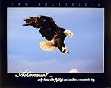 Impact Posters Gallery Eagle Bald Diving Landing Achievement Wild Bird Wall Decor Animal Art Print Poster (16x20)