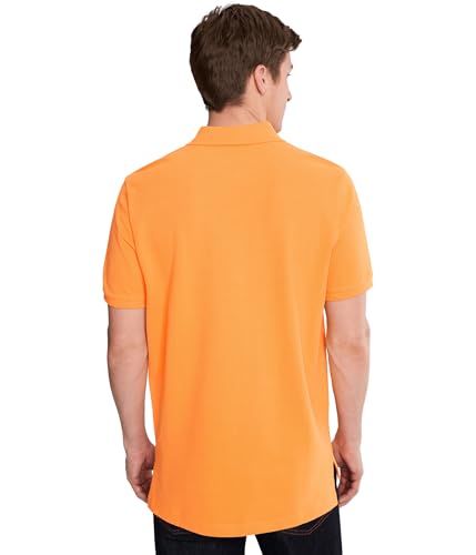 Image of U.S. POLO ASSN. Men Cotton Regular Fit Solid Polo With Small Pony