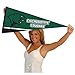 College Flags & Banners Co. Chicago State Cougars Wordmark Pennant Flag