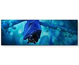 Paul Sinus Art Leinwandbilder | Bilder Leinwand 120x40cm 