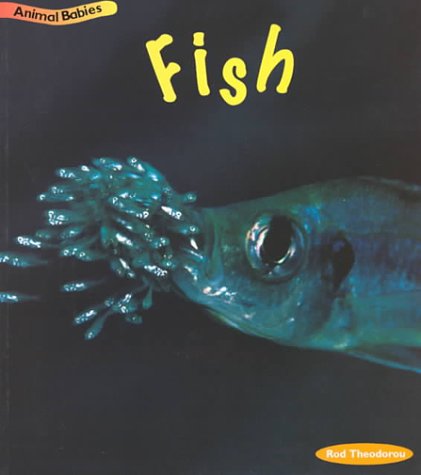 Fish (Animal Babies) 1575725428 Book Cover