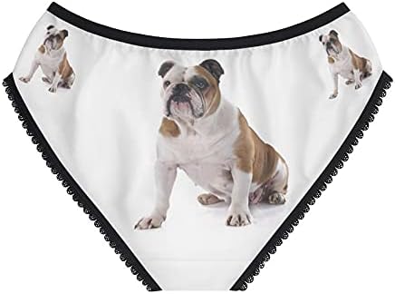 DogsMakeMeHappy English Bulldog Panties, English Bulldog Underwear, Briefs, Cotton Briefs, Funny Underwear, Panties For Women
