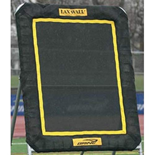 Brine Lacrosse Lax Rebound Wall Replacement Mat (3 x 4-Feet, Black)
