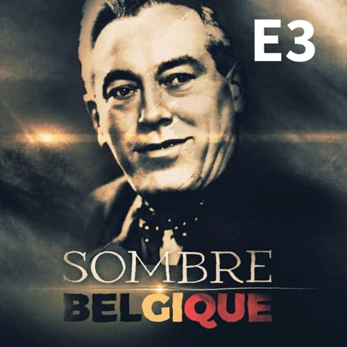 L'affaire Julien Lahaut | 3 | Des occasions manquées…