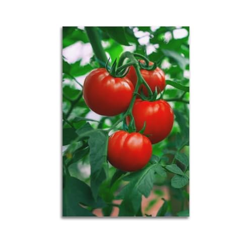 Affiche tomates rouges sur vigne ZHOUKEG pour créer une ambiance bistrot chaleureuse en cuisine