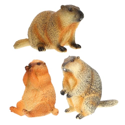 EXAOMBLE Figurines de Marmottes Réalistes Apprentissage Jouet Éducatif Décoration de Bureau et en Plastique 3pcs Ornement Intérieur