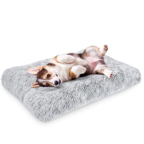 Siwa Mary Medium Dog Bed Mat Crate Pad, Dog Beds For Medium Large Small Size Dogs/Cats, Fluffy Plush Soft Washable Pet Bed, Deluxe Comfy Kennel Pad, Cozy Warm Non-Slip Pet Sleeping Mat, Anti Anxiety #TOP20