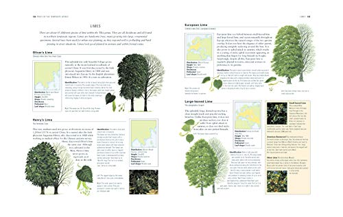 The World Encyclopedia of Trees: A Reference and Identification Guide to 1300 of the World\'s Most Significant Trees