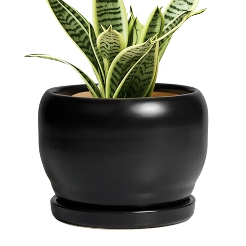 SQOWL Ceramic Plant Pot - 6 Inch Planter for Indoor Plants, Round Flower Pot with Drainage Hole and Saucer, Modern Succulent Planter Outdoor, House Decor, Plant Lovers Gifts, Black