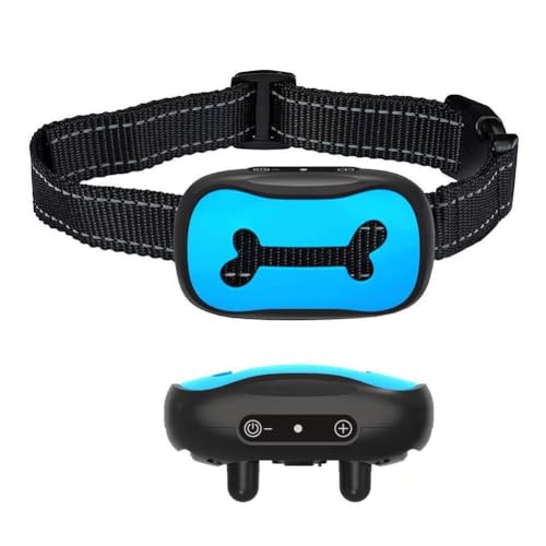 pVbNցApVbNցARtg[jOցARthdqցAALAp (2-30kg) u[) (B