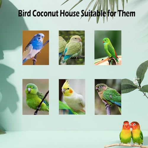 Image of Hanging Coconut for Birds,Bird Nest for Cage Parakeet Hideaway Budgie Hut House Sleeping Toys Pet Cage Habitats Decor for Parrot Cockatiel Conure Finch