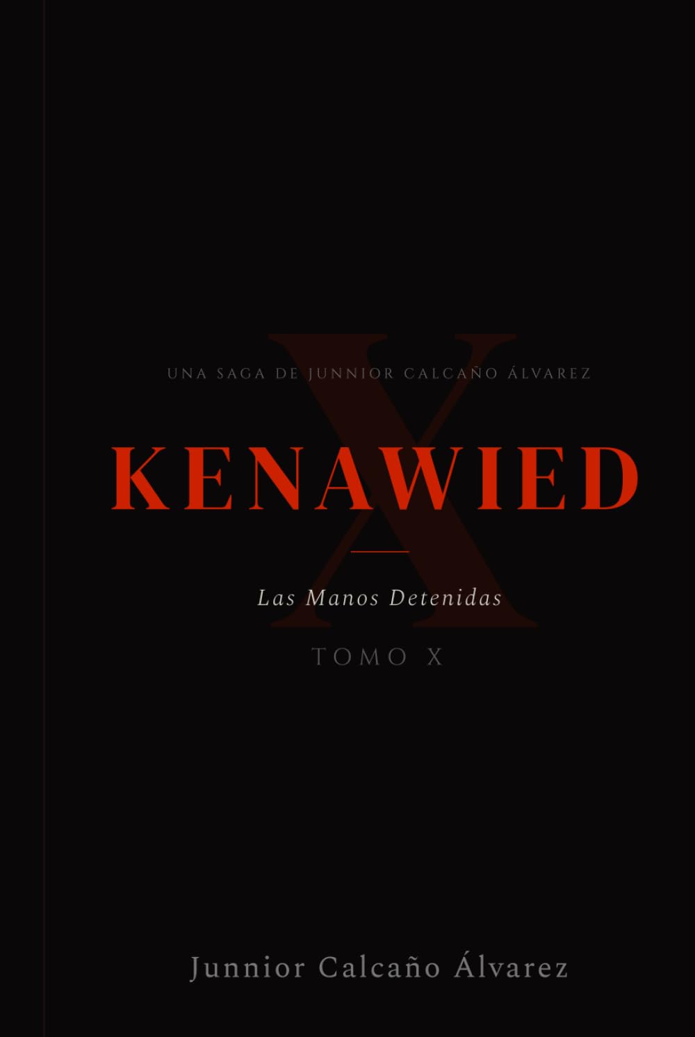 KENAWIED: Las manos detenidas (Tomo 10) (KENAWIED: La Luz Que Oscurece)
