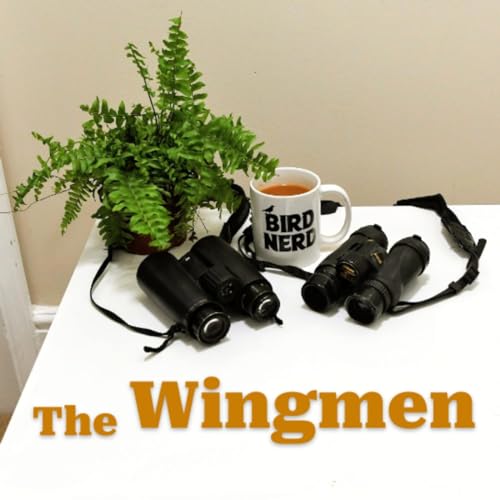 The Wingmen cover art