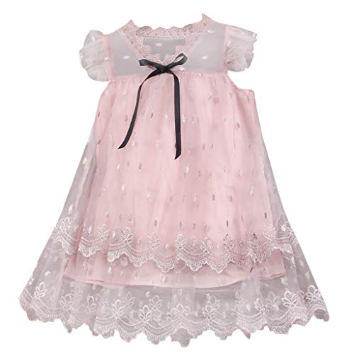 Sameno baby clothing Girls Embroidery Princess Dress Wedding Birthday Party Long Tail Prom Gowns